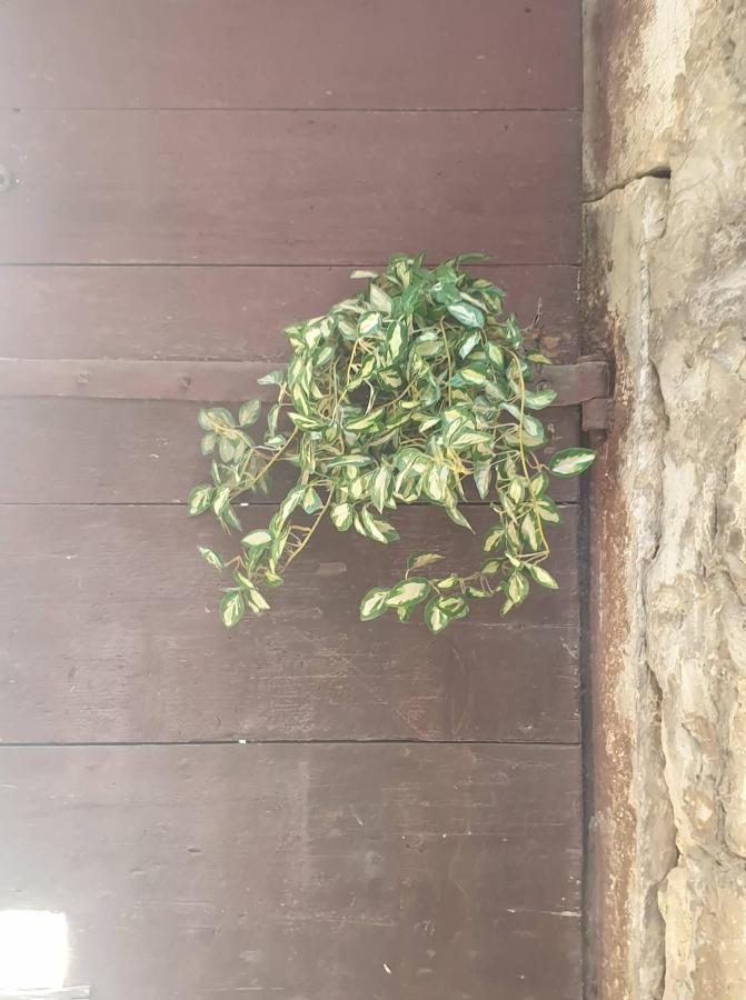 Apartmani Nedo Split Exteriör bild